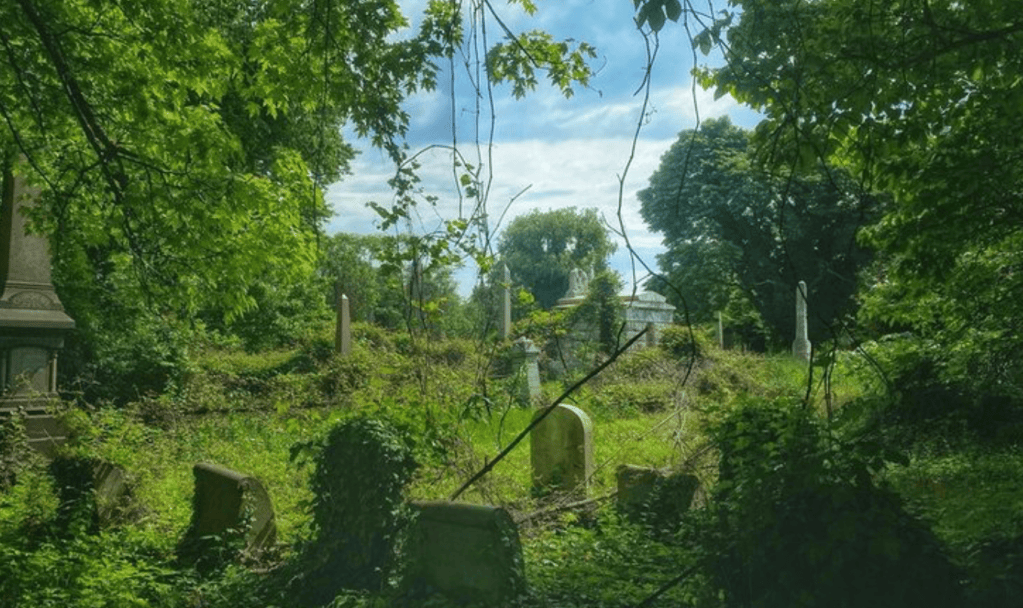 Overgrown cemetery surrounded by lush trees and greenery under a blue sky.