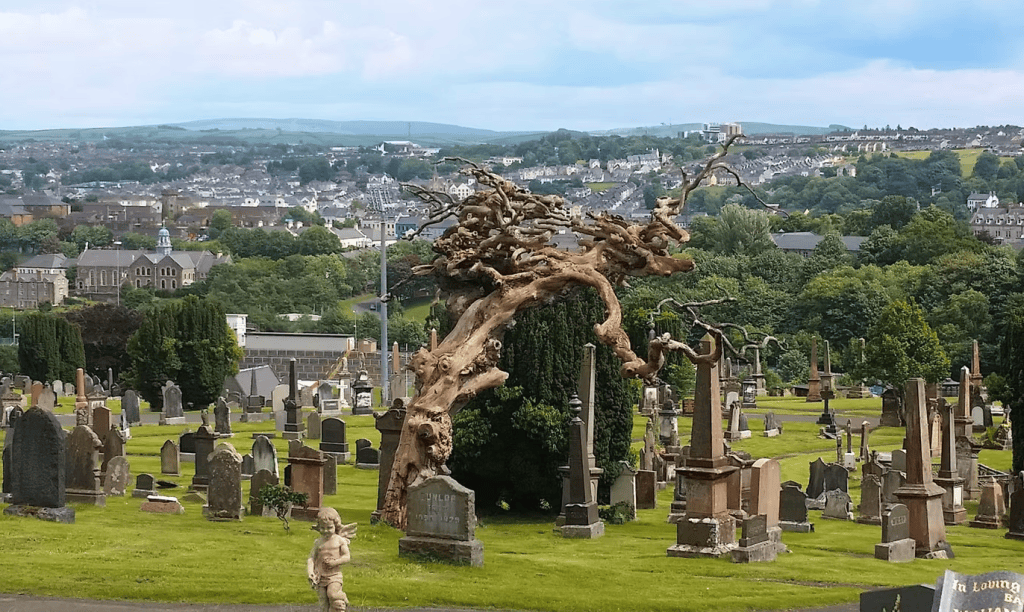 A view of a cemetery with various gravestones and a prominent, twisted tree in the center, overlooking a town and hills in the background.